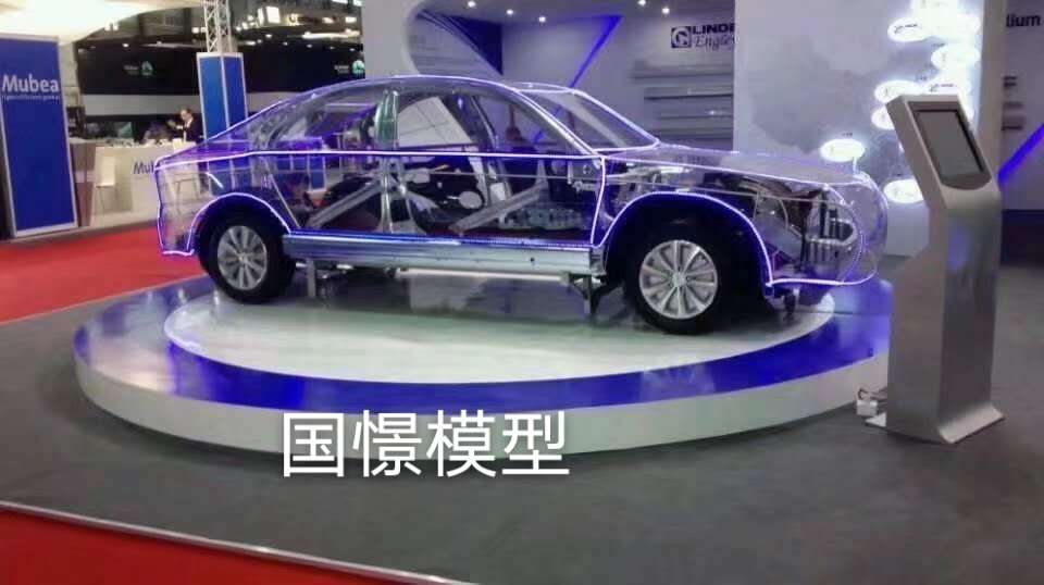 广饶县透明车模型