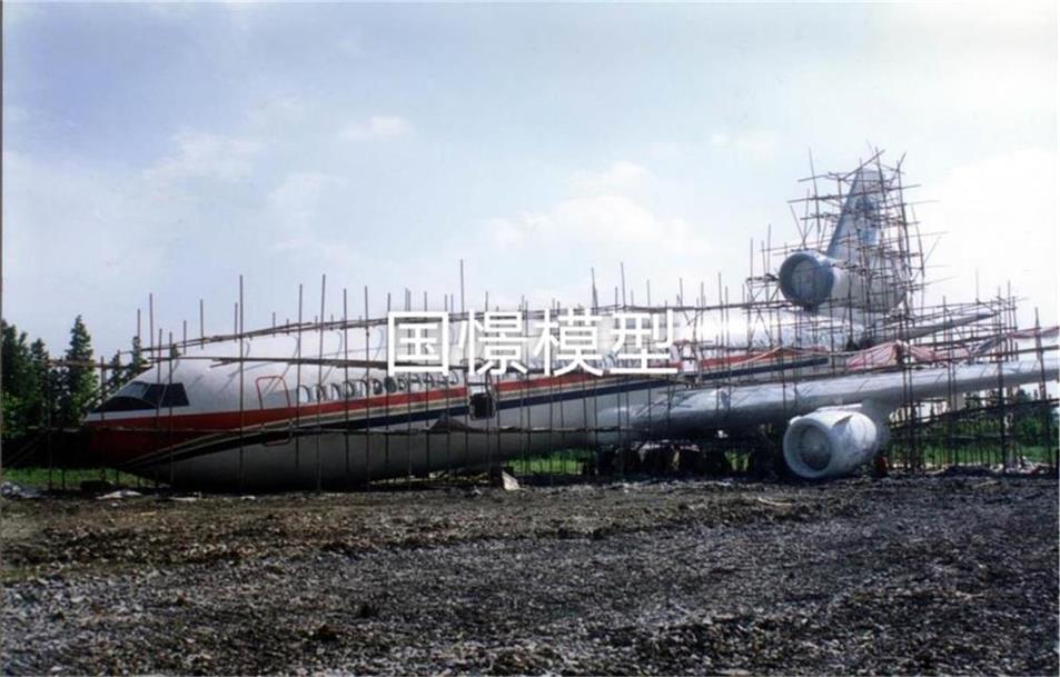 广饶县飞机模型